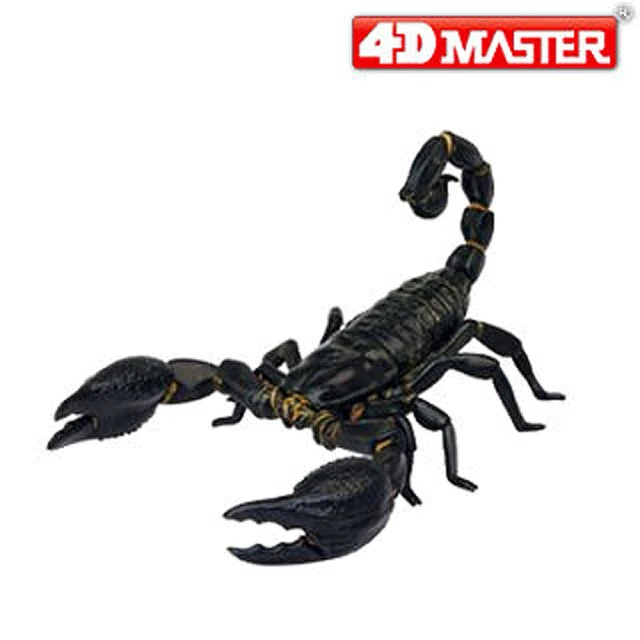 【4D  MASTER】節肢動物系列-帝王蠍EMPEROR SCORPION