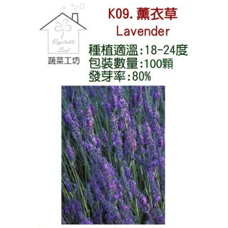 【蔬菜工坊】K09.薰衣草種子(狹葉)