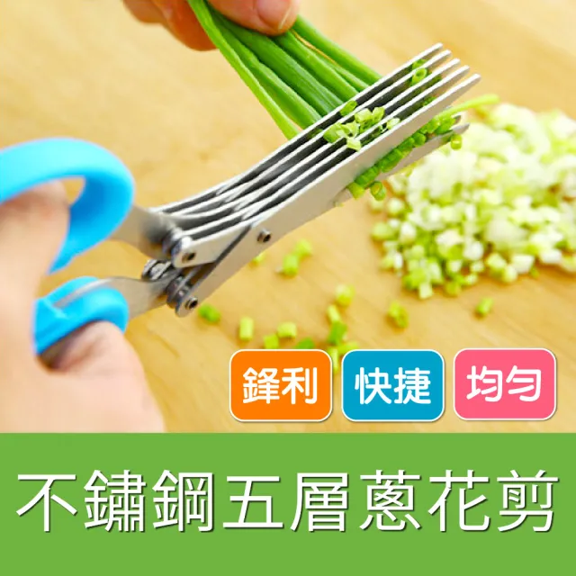 【廚房必備】不鏽鋼 五層剪刀(創意用品 碎紙剪 五層剪刀 碎食剪 料理剪刀)