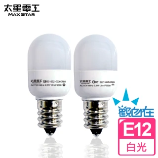觀自在0.3W LED節能燈泡-白光2入(E12)