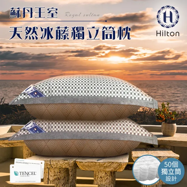 【Hilton 希爾頓】蘇丹王室。頂級格紋藤編獨立筒枕/買一送一/二色任選(藤編枕/冰涼透氣枕/透氣枕/舒適枕)