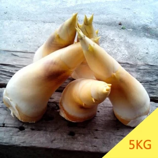 【芝初】有機黑芝麻粉180gx5入(贈膳魔師保溫瓶500ml)