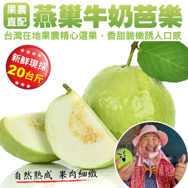 小農直配 燕巢牛奶珍珠芭樂 20斤 10 Momo購物網