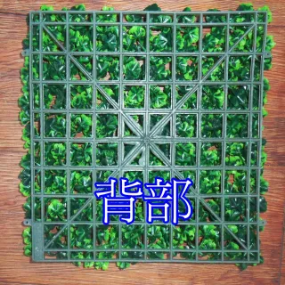 【園藝世界】草皮25*25 cm -3片入