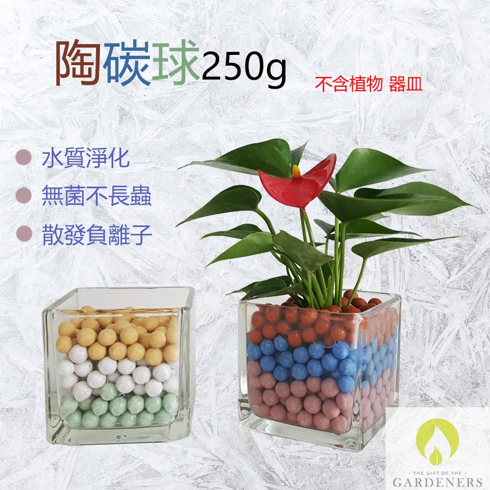 Gardeners 陶碳球250g 水培 水耕 Momo購物網