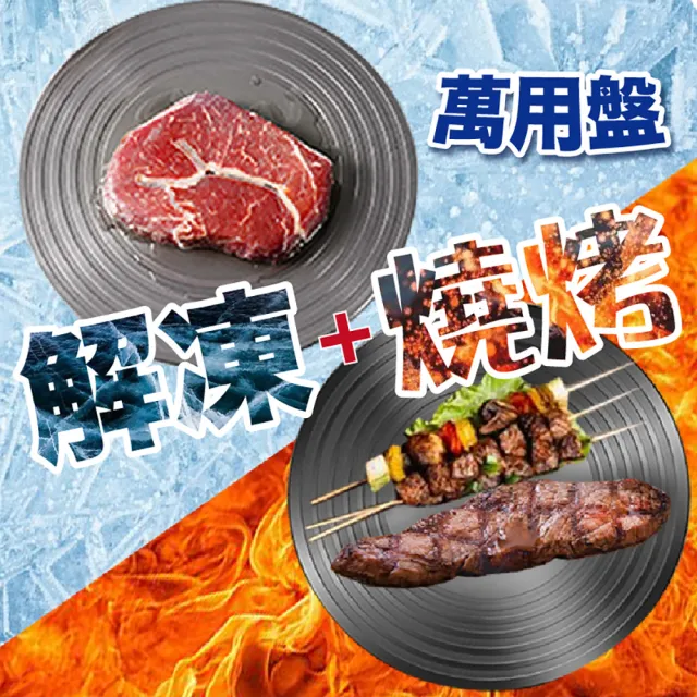 【德國康尼菲】熱銷抗菌速解凍燒烤兩用盤/