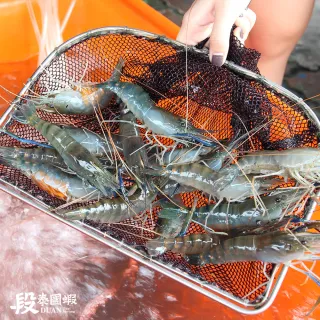 【段泰國蝦】屏東鮮凍泰國蝦Ｂ級3包入(600g±10%/包)