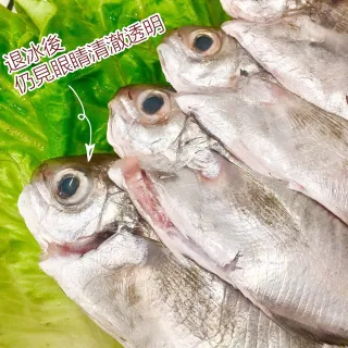 【老張鮮物】澎湖野生肉魚/肉鯽仔 5包組(300g±10%/包  約3-4隻)