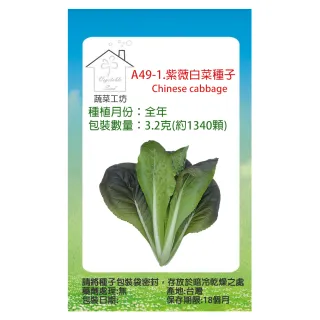 【蔬菜工坊】A49-1.紫薇白菜種子3.2克(約1340顆)
