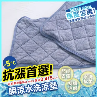 【HongYew 鴻宇】瞬間涼感-5度C 可洗抗菌枕頭保潔墊(2入)