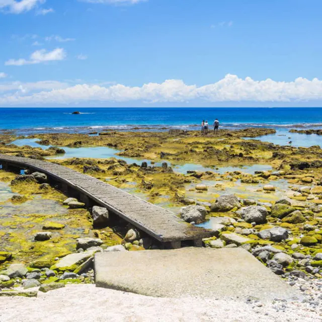 樂遊綠島五星花東國家公園花海3日 M Momo購物網