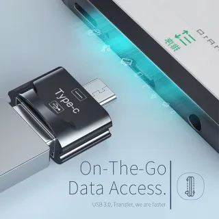 【Bill Case】高階 USB 3.0 轉 Type-C OTG 迷你轉接頭 霧銀(精緻輕巧 帶Keychain防遺失)