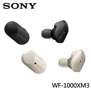 【SONY 索尼 公司貨 保固12+12】WF-1000XM3 真無線藍牙降噪耳機(降噪藍芽耳機 / 會議專用)