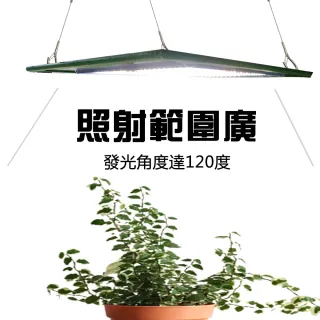 【JIUNPEY 君沛】燈板系列 50瓦 吊掛式 植物燈 莖葉加強光譜 植物成長專用燈(植物生長燈)