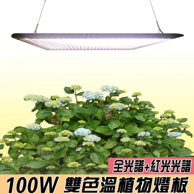 Jiunpey 君沛 燈板系列100瓦吊掛式植物燈雙色溫植物成長專用燈 植物生長燈 Momo購物網