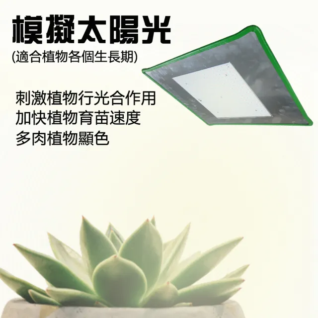 Jiunpey 君沛 燈板系列150瓦吊掛式植物燈全光譜植物成長專用燈 植物生長燈 Momo購物網 Jiunpey 君沛 燈板系列150瓦吊掛式植物燈全光譜植物成長專用燈 植物生長燈 Momo購物網