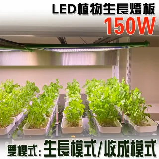 【JIUNPEY 君沛】燈板系列 150瓦 吊掛式 雙色光譜 植物燈  植物成長專用燈(植物生長燈)