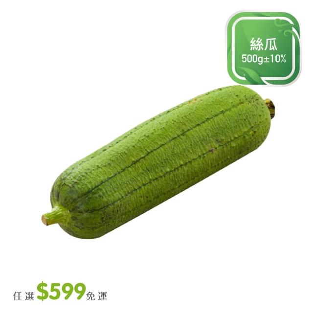 【菜霸子】任選-滿599元出貨(絲瓜500g / 入廠商直送)