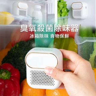 冰箱除臭器/臭氧機(活性氧殺菌 去味 食物保鮮 淨化空氣 USB充電)