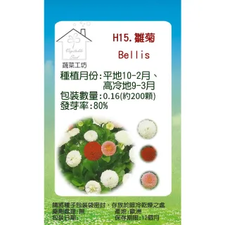 【蔬菜工坊】H15.雛菊種子(混合色、高15-20cm)
