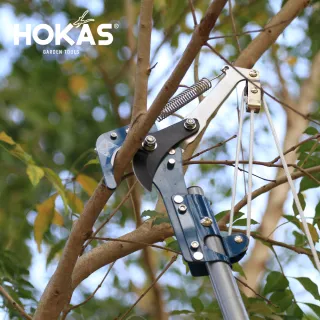 【HOKAS】S104 輕量型高空樹剪 適用樹高約3米至3.4米(高空剪 高枝鋸 伸縮高枝剪 樹剪 果樹剪 修枝剪)