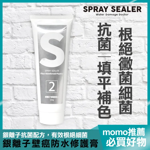 Spray Sealer 壁癌醫生 銀離子壁癌防水修護膏250ml 三入組 壁癌補土修繕diy Momo購物網
