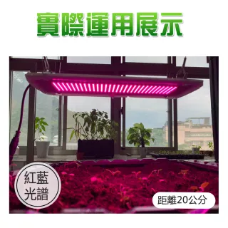 【JIUNPEY 君沛】燈板系列 紅藍混光 植物燈 光譜  吊掛式 裸版型 植物燈版 20瓦(植物燈 平板燈)
