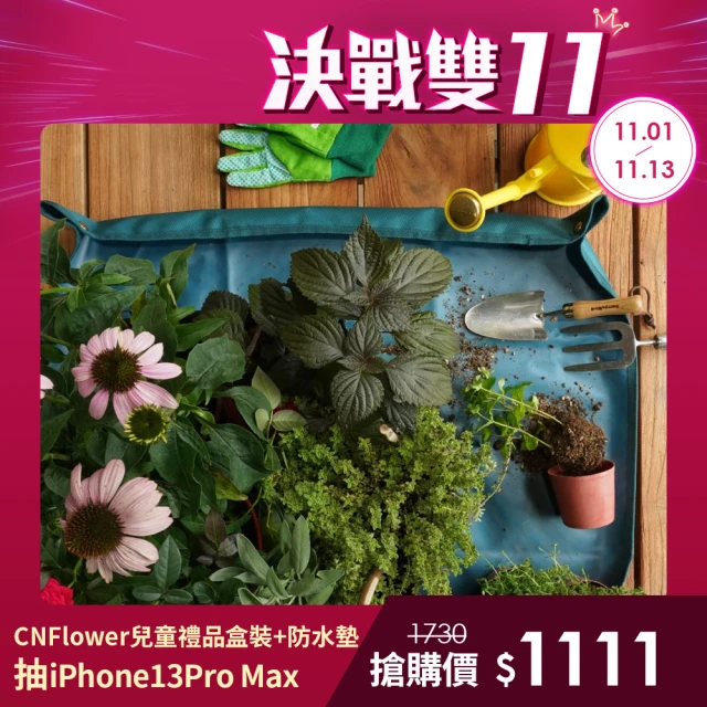 CNFlower 西恩【CNFlower 西恩】Berry & Bird 兒童禮品盒裝+園藝防水墊 特價組合(送禮/園藝/園藝工具)