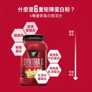 【BSN 畢斯恩】Syntha-6 頂級綜合乳清蛋白 2.59磅(德式巧克力)