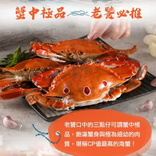 【愛上海鮮】鮮凍野生大三點蟹3包(500g±10%/2隻/包)