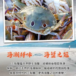【愛上海鮮】鮮凍野生中三點蟹3包(350g±10%/2隻/組)