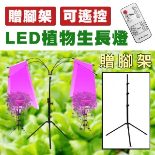 【ROWA 樂華】(贈腳架)LED植物生長燈植物燈(定時功能)