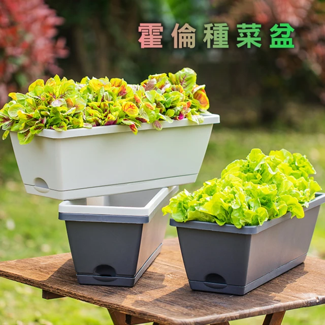 【fioJa 費歐家】長方形霍倫種菜 S號 居家陽台種植槽 花盆 種植盆(種菜箱 生活綠意 花卉易養好生長)