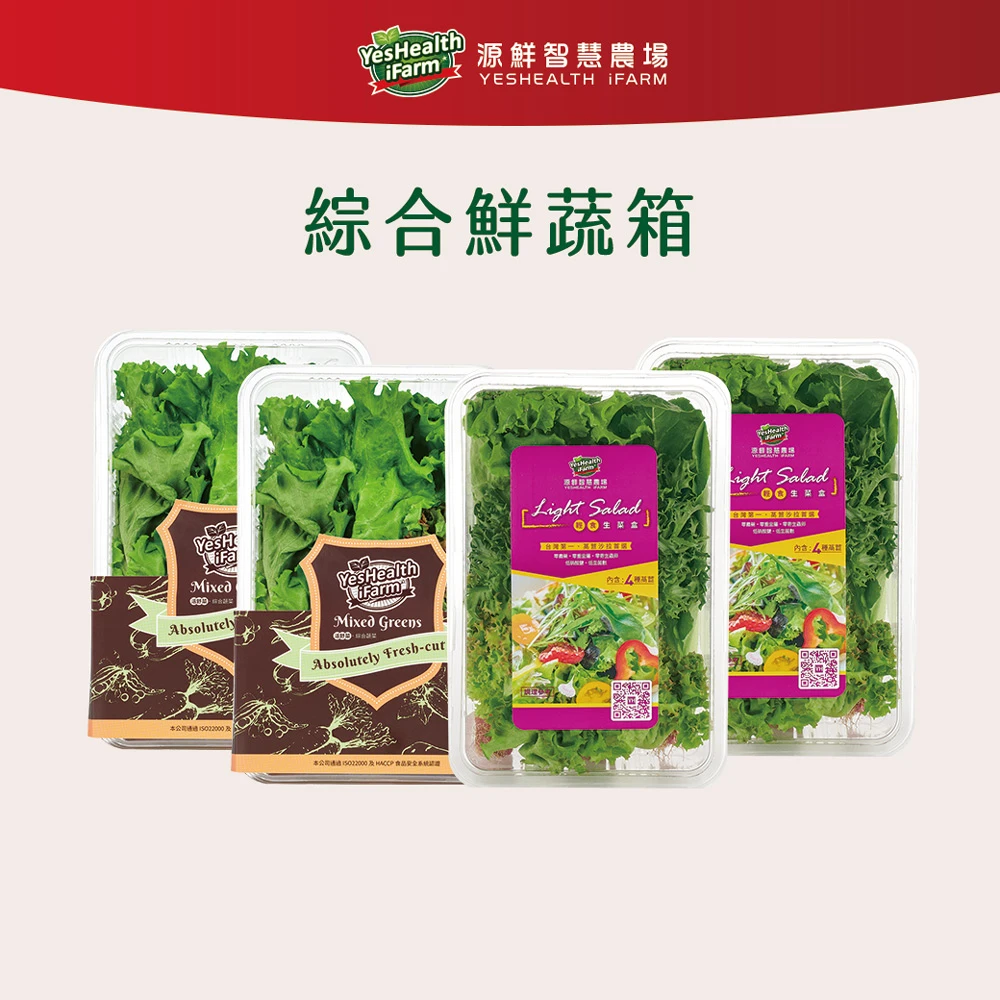 源鮮智慧農場 綜合鮮蔬箱 生菜 沙拉 萵苣 水耕蔬菜 Momo購物網