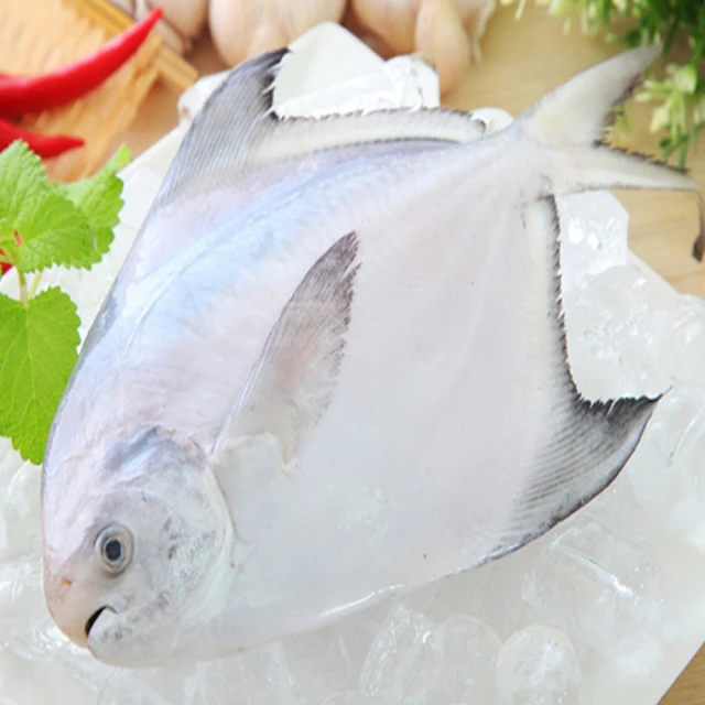 【海之醇】大規格野生正白鯧魚-3隻組(400g±10%/隻)