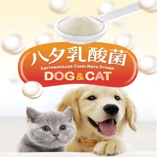 【LCH】寵物乳酸菌30g-犬貓保健食用1個月(小罐裝-調整毛孩腸胃_增加抵抗力)