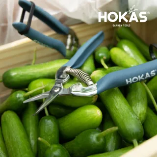 【HOKAS】S519 短刃芽切剪(芽切剪 摘果剪 採果剪刀 摘果 採果)