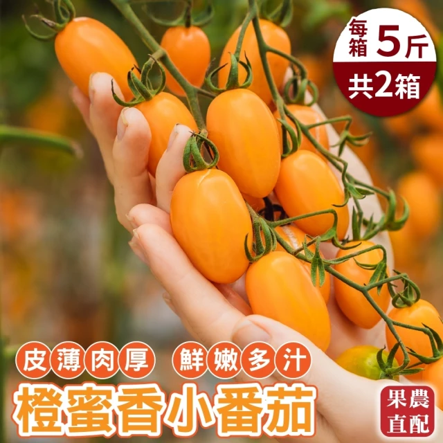 【果農直配】台灣嚴選橙蜜香番茄(10斤/箱)