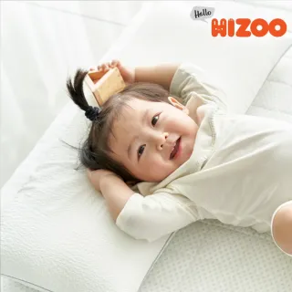 【韓國 Hello HiZoo】3D Aqua Mesh涼感加寬抗菌防蟎雙面枕(涼感枕/護脊/護頸枕)