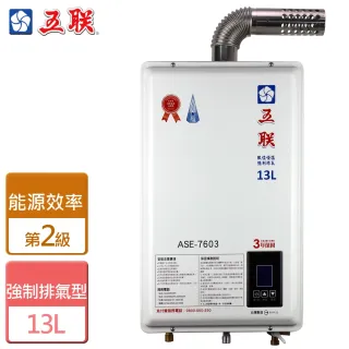 【五聯】13L智能恆溫強制排氣熱水器北北基安裝(ASE-7603)