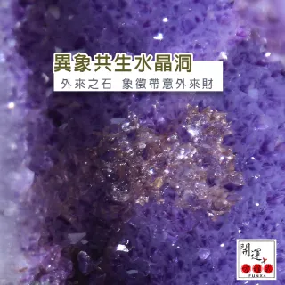 【開運方程式】藍白千層瑪瑙邊異相共生紫水晶洞JU163(13.6kg一物一拍紫晶洞)