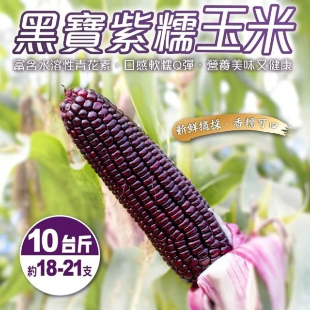 【果農直配】黑寶紫糯米玉米(10斤/箱)