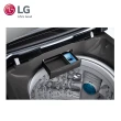 【LG 樂金】13公斤◆Smart Inverter 智慧變頻洗衣機(WT-ID130MSG)