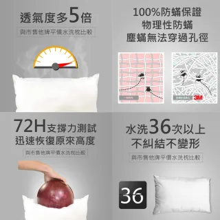 【3M】新一代防蹣水洗枕-幼兒型