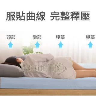 【送記憶枕x2】LooCa吸濕排汗超透氣12cm記憶床墊(雙人-隔日配)
