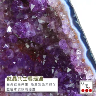 【開運方程式】巴西鈦晶共生官腰帶紫水晶洞JU199(紫晶洞20.4kg)