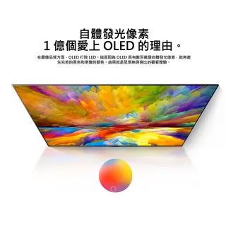 【LG 樂金】48型OLED 4K TV AI語音物聯網電視(OLED48C1PSB)