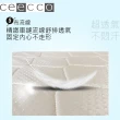 【ceecco】米雪兒高彈力高碳鋼護背彈簧床墊(雙人5尺)