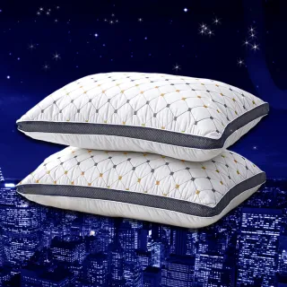 【買一送一】全新升級版 7星級飯店3D立體舒眠護頸水洗枕(防疫好眠)