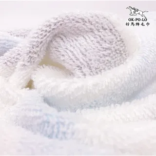 【OKPOLO】台灣製造奈米竹炭吸水毛巾-12入組(吸水厚實柔順)